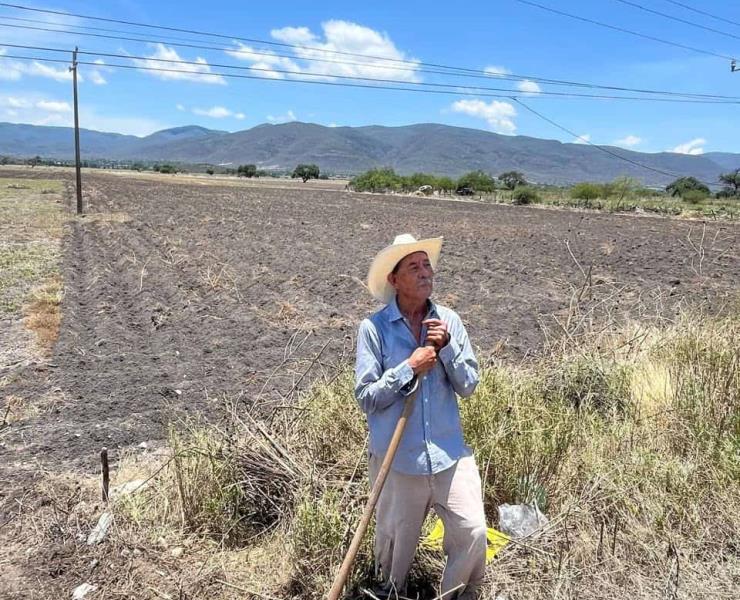 Si llueve habrá buena producción agrícola
