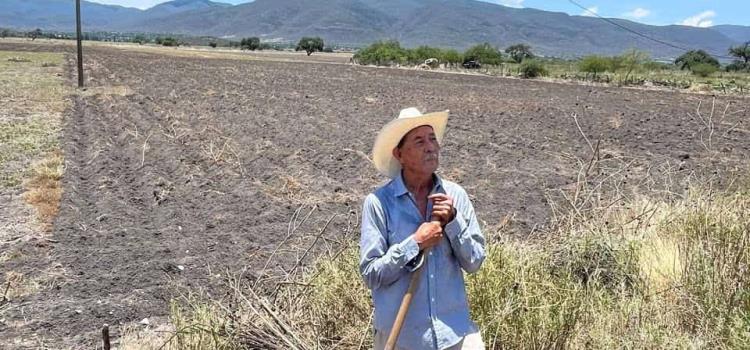 Si llueve habrá buena producción agrícola Si llueve habrá buena producción agrícola