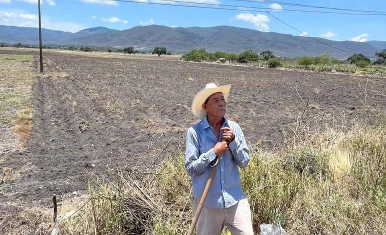 Si llueve habrá buena producción agrícola