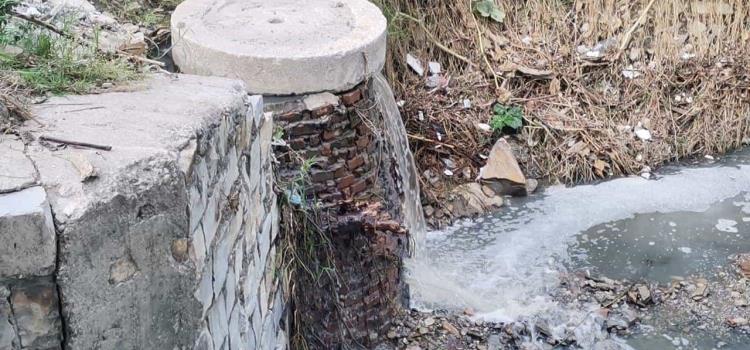 Aguas negras de DAPA contaminan arroyos Aguas negras de DAPA contaminan arroyos