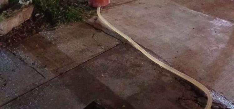 Colapsó el drenaje y entra a viviendas Colapsó el drenaje y entra a viviendas