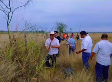 Inició campaña   agroforestal 
