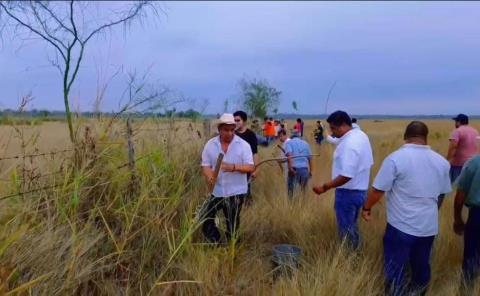 Inició campaña   agroforestal 
