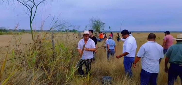 Inició campaña agroforestal Inició campaña agroforestal