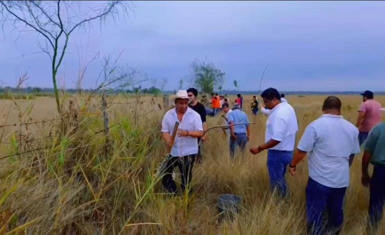 Inició campaña   agroforestal 