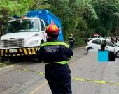 MURIÓ INFANTE TRAS ACCIDENTE