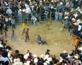 JARIPEOS SON SANGRIENTOS 