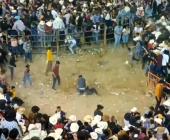 JARIPEOS SON SANGRIENTOS 