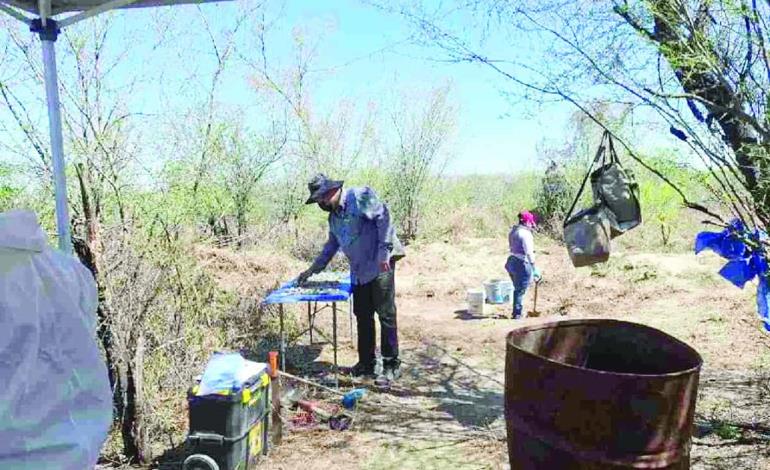 Hallaron restos humanos