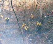 Inviable reforestar zonas afectada por incendios