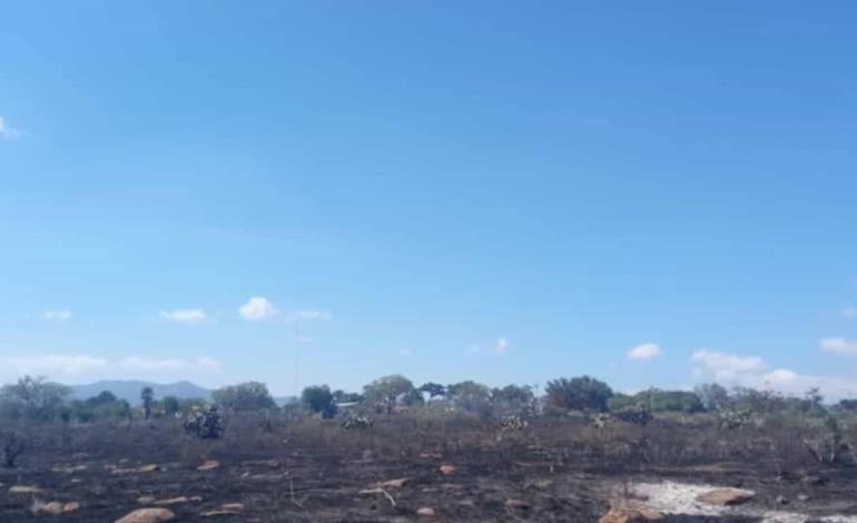 Sin ocurrir graves sucesos delictivos 