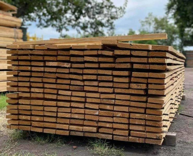 Subsisten del pino y encino en la sierra

