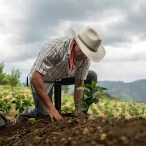 Campesinos no tienen
 dinero para producir 

