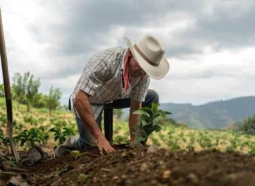 Campesinos no tienen dinero para producir 
