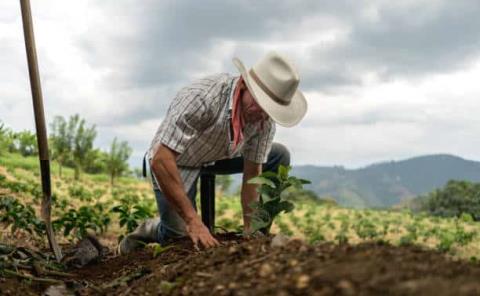 Campesinos no tienen
 dinero para producir 
