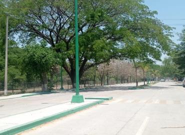 Reforestaron áreas en colonia El Meco