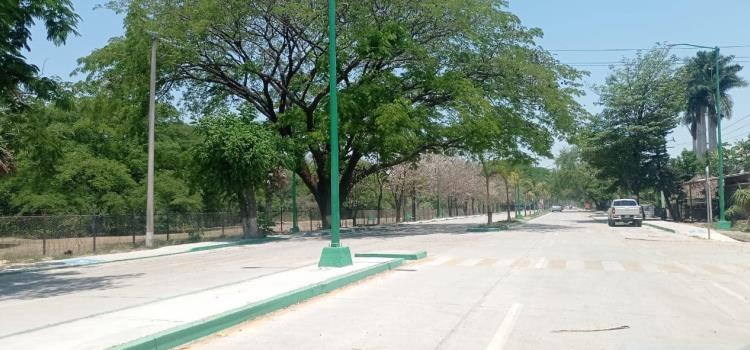 Reforestaron áreas en colonia El Meco Reforestaron áreas en colonia El Meco