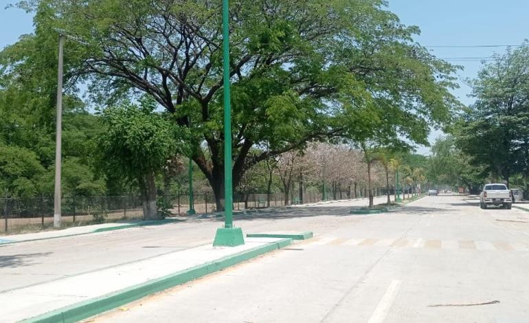 Reforestaron áreas en colonia El Meco