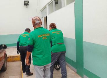 Pica alacrán a niña y termina en urgencias
