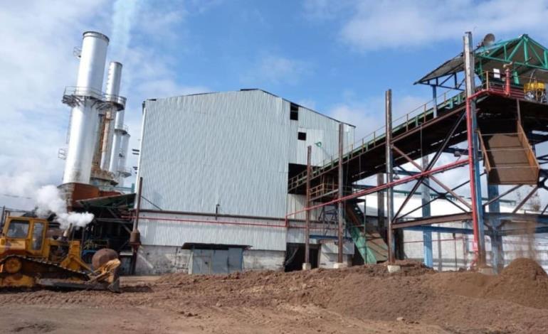 Histórica producción en la zafra cañera