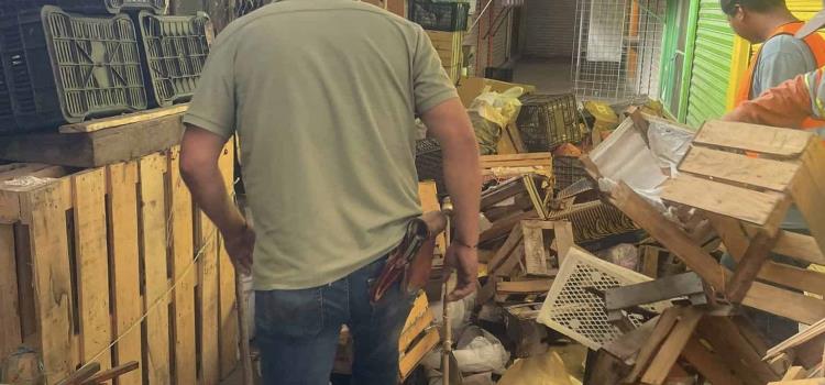 Comerciantes almacenan gran cantidad de basura Comerciantes almacenan gran cantidad de basura