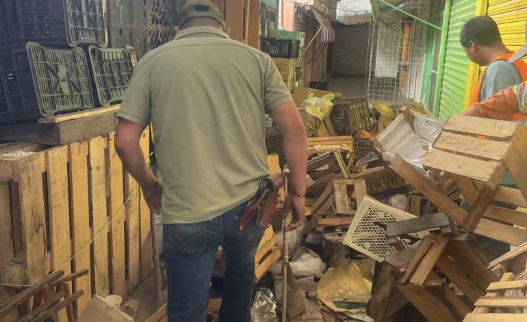 Comerciantes almacenan gran cantidad de basura 