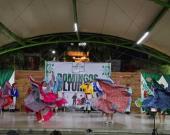 Habrá este 15, Domingo Cultural