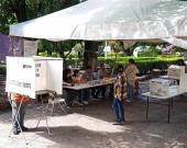 NO VOTARON