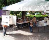 NO VOTARON
