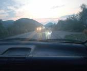Carretera insegura por ganado suelto