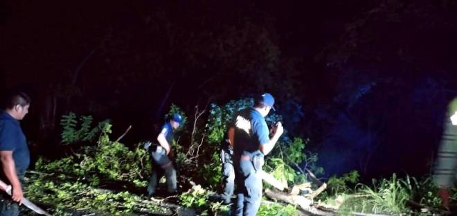Árbol bloqueó carretera