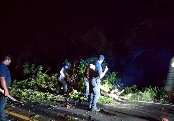 Árbol bloqueó carretera