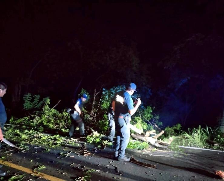 Árbol bloqueó carretera