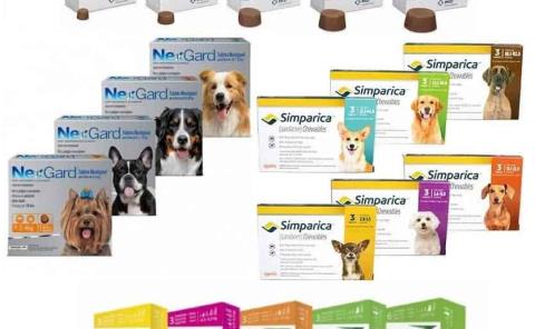 
Clonan medicina para mascotas
