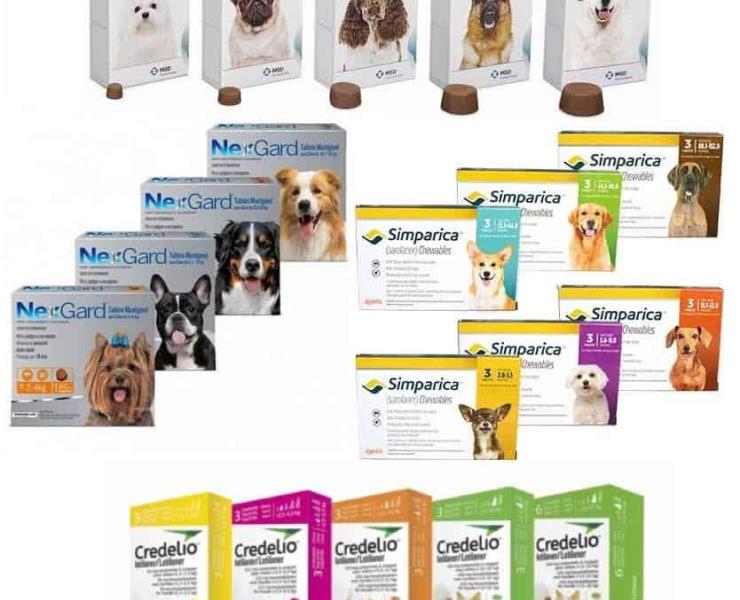 
Clonan medicina para mascotas
