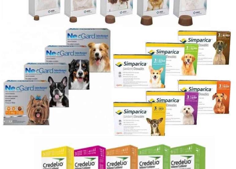 
Clonan medicina para mascotas
