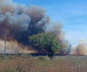 16 mil hectáreas han sido devastadas