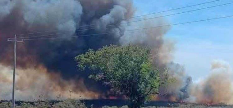 16 mil hectáreas han sido devastadas 16 mil hectáreas han sido devastadas