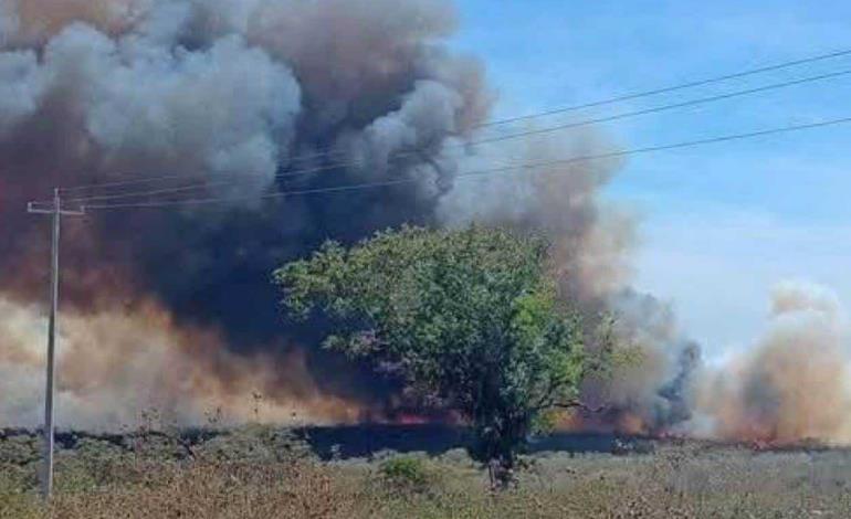 16 mil hectáreas han sido devastadas