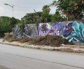 Tres semanas sin recoger un árbol