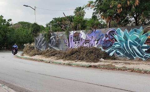Tres semanas sin recoger un árbol
