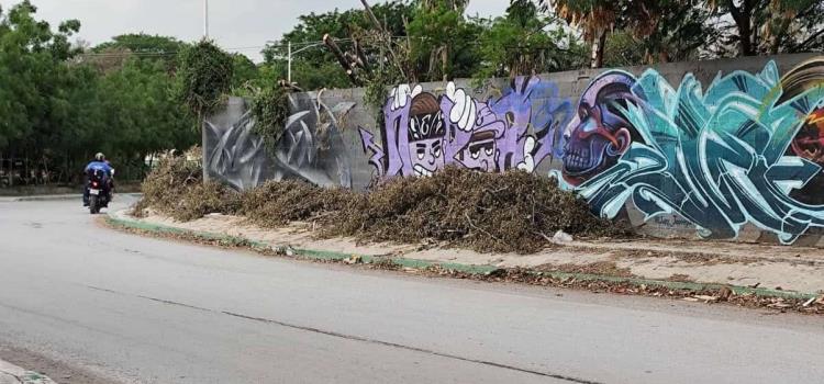 Tres semanas sin recoger un árbol Tres semanas sin recoger un árbol