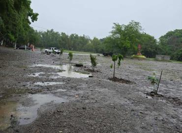 Reforestan la ribera del río Axtla... Justo antes de que el río haga lo suyo