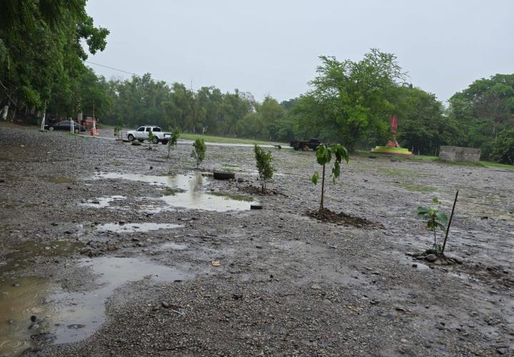 Reforestan la ribera del río Axtla... Justo antes de que el río haga lo suyo