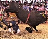 Organizadores de jaripeos  en la zona son roba carros