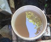 Familias pagan tarifas altas por agua "sucia"
