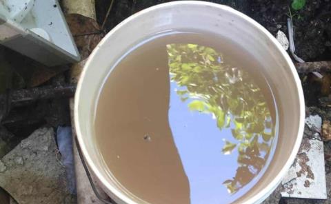 Familias pagan tarifas altas por agua "sucia"

