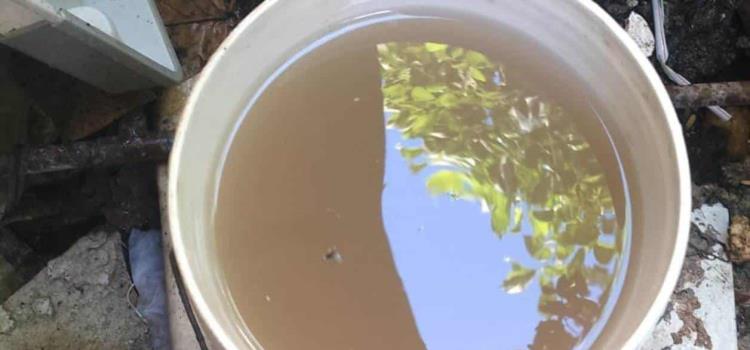 Familias pagan tarifas altas por agua "sucia" Familias pagan tarifas altas por agua "sucia"