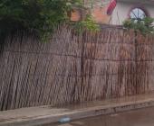 MUJER GRAVE AL   CAER DE AZOTEA