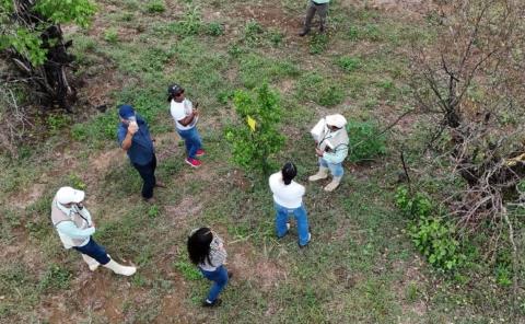 Apoyará Cuba a combatir plagas
